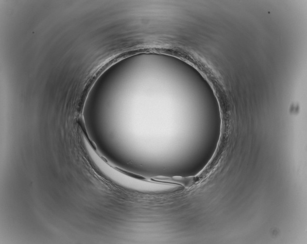 X0000090861169200708101213