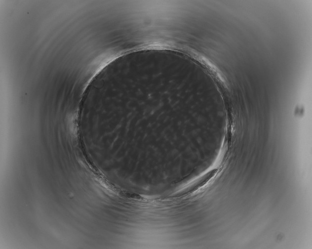 X0000090861170200708101213