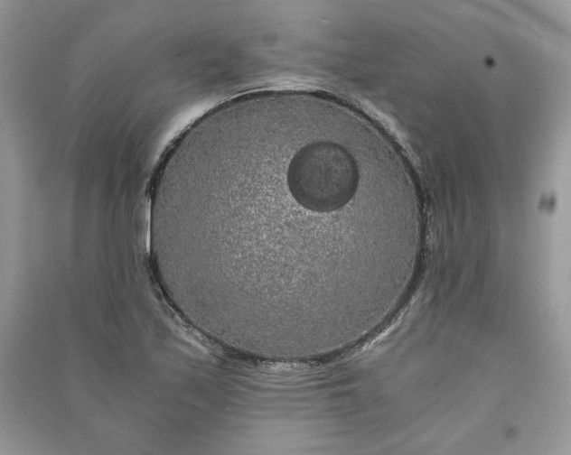 X0000090861171200708101213