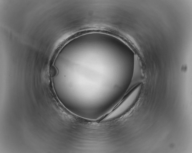 X0000090861172200708101213