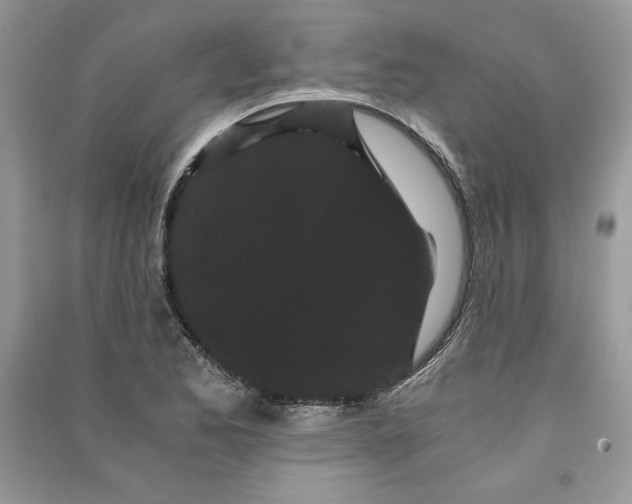 X0000090861173200708101213