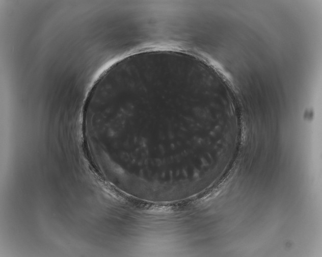 X0000090861174200708101213