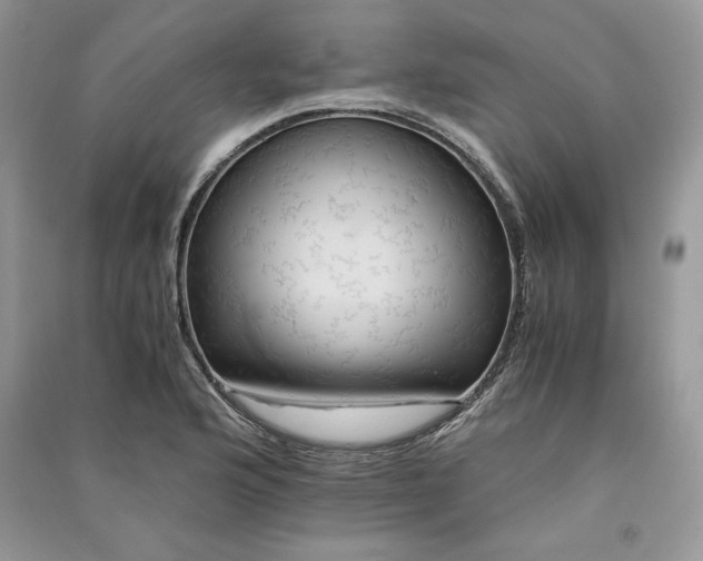 X0000090861176200708101213