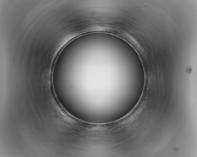 X0000090861178200708101213