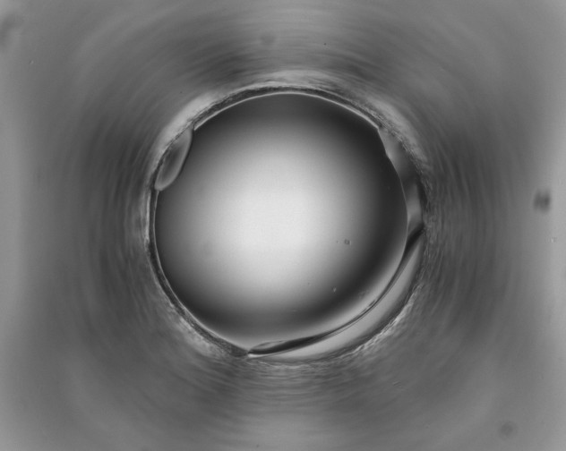 X0000090861180200708101213