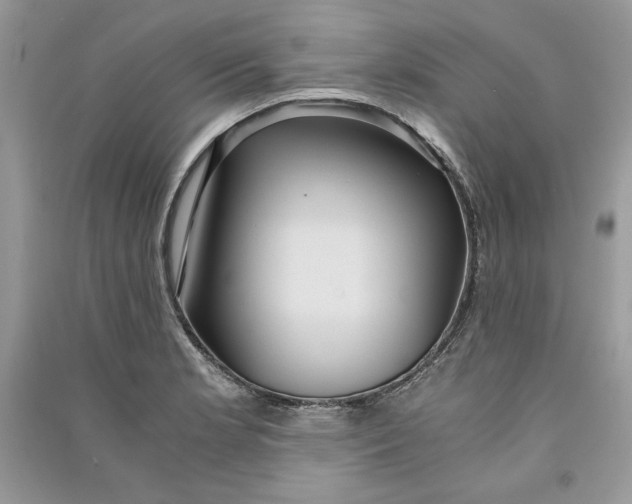 X0000090861181200708101213