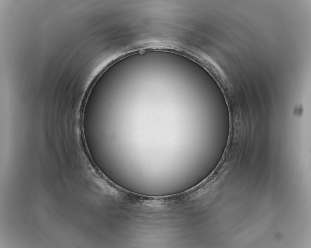 X0000090861182200708101213