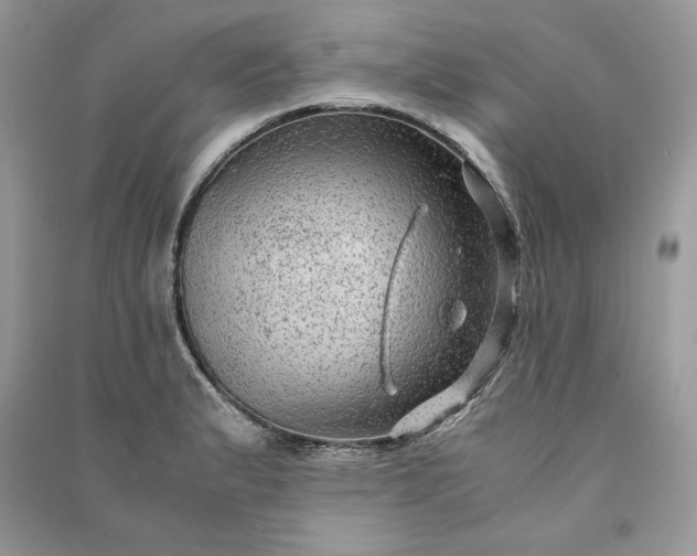 X0000090861183200708101213