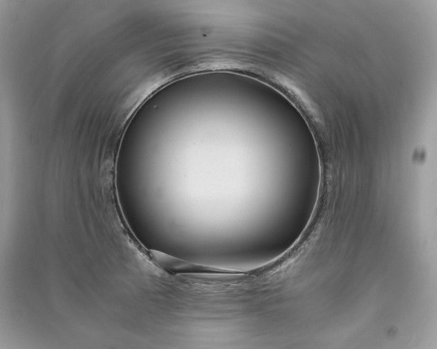 X0000090861185200708101213