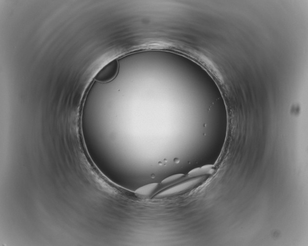 X0000090861186200708101213