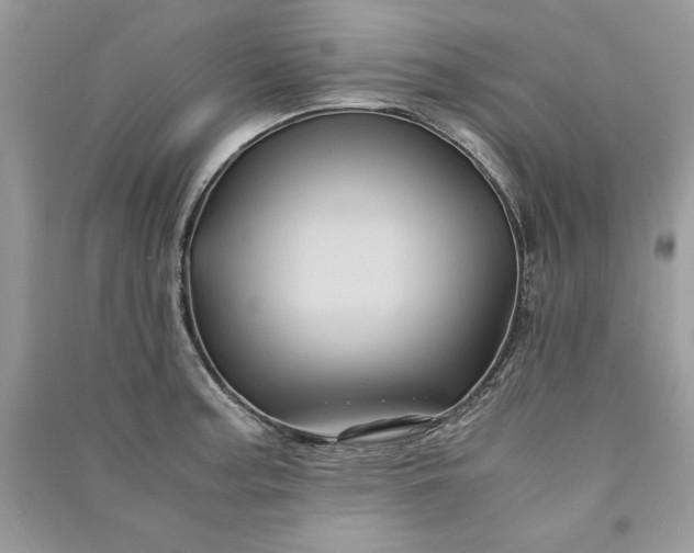 X0000090861187200708101213