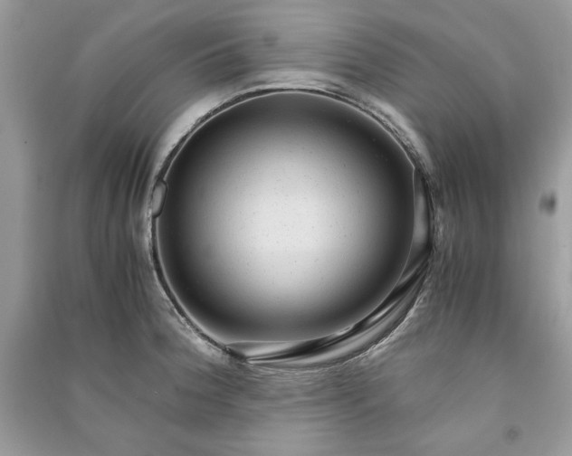 X0000090861188200708101213