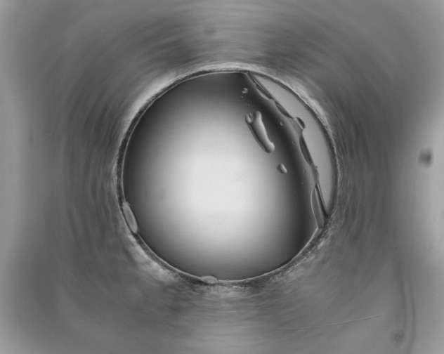 X0000090861189200708101213