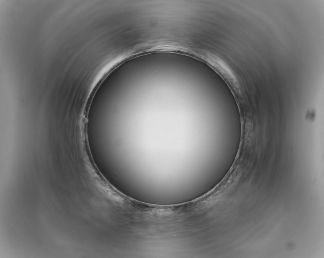 X0000090861190200708101213