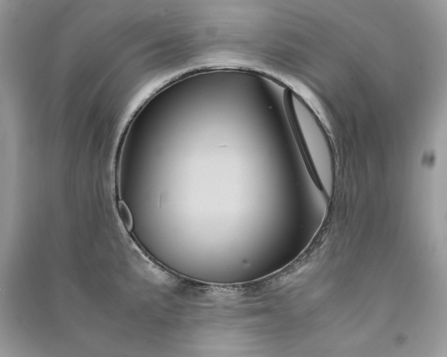 X0000090861191200708101213