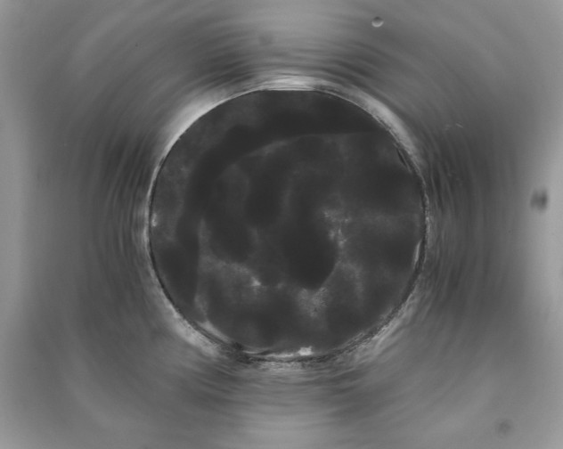 X0000090861194200708101213