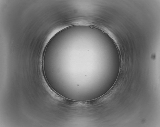 X0000090861195200708101213