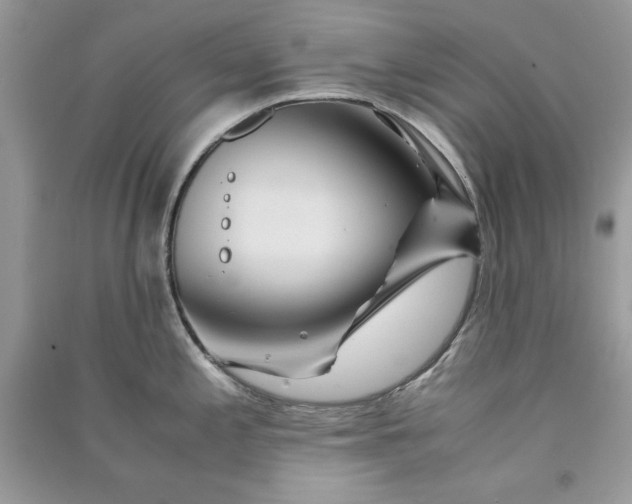 X0000090861197200708101213