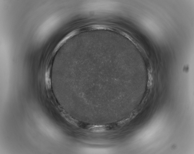 X0000090861198200708101213