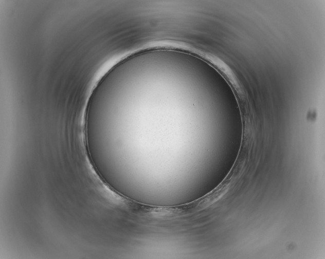 X0000090861199200708101213