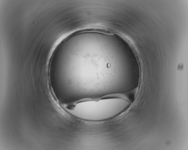 X0000090861200200708101213