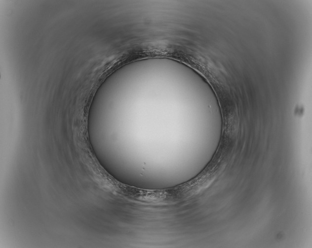 X0000090861201200708101212