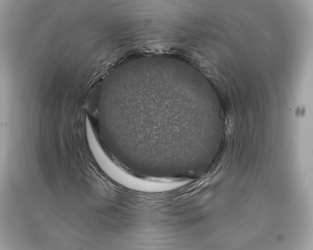 X0000090861202200708101212