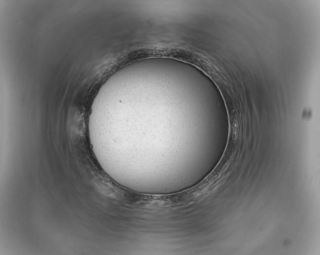 X0000090861204200708101212