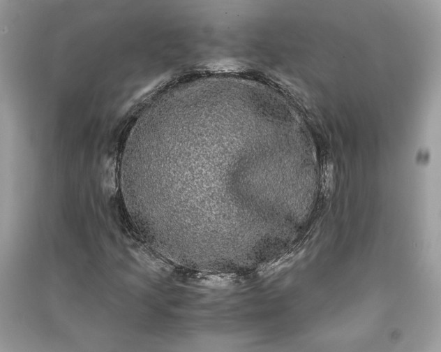 X0000090861205200708101212