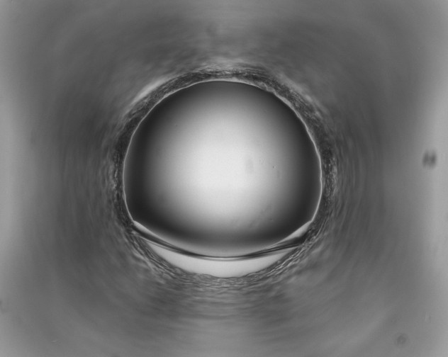 X0000090861206200708101212