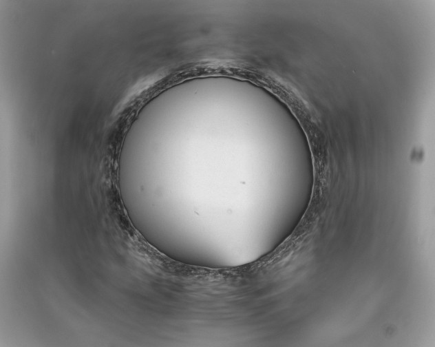 X0000090861207200708101212