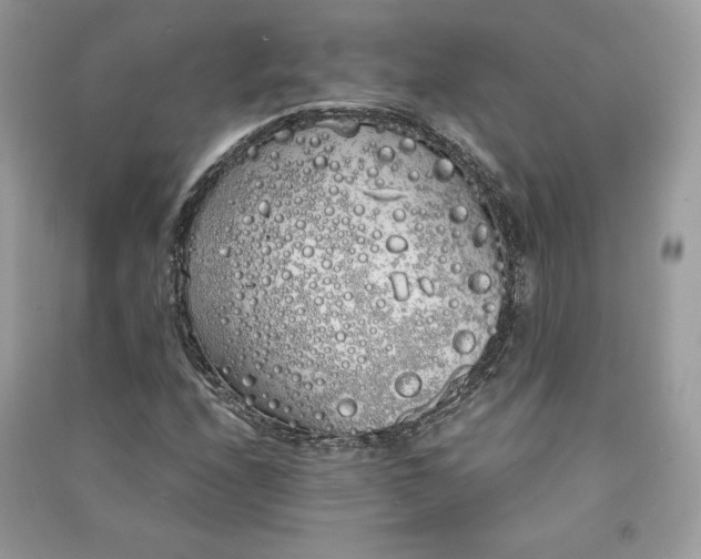 X0000090861208200708101212