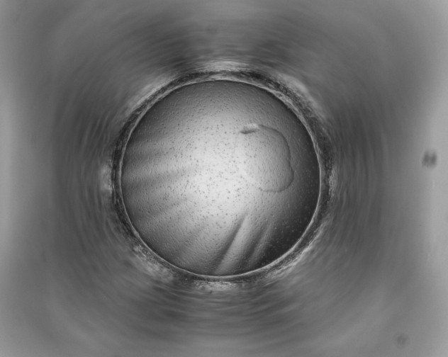 X0000090861209200708101212