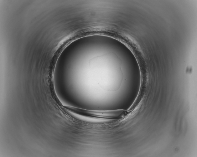 X0000090861210200708101212