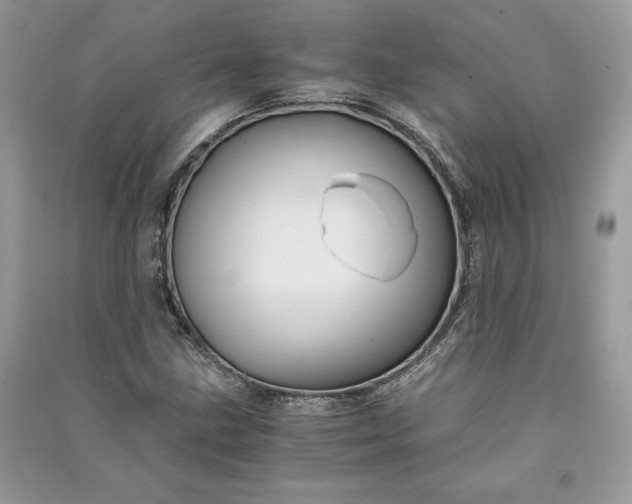 X0000090861211200708101212