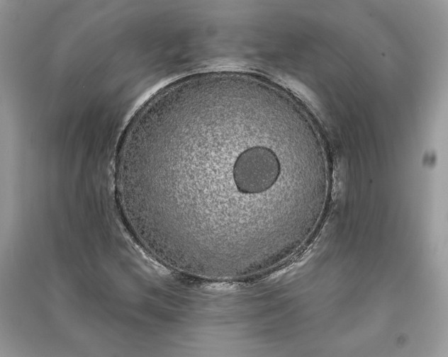 X0000090861212200708101212