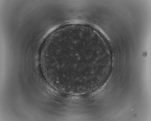 X0000090861213200708101212