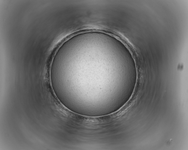 X0000090861215200708101212