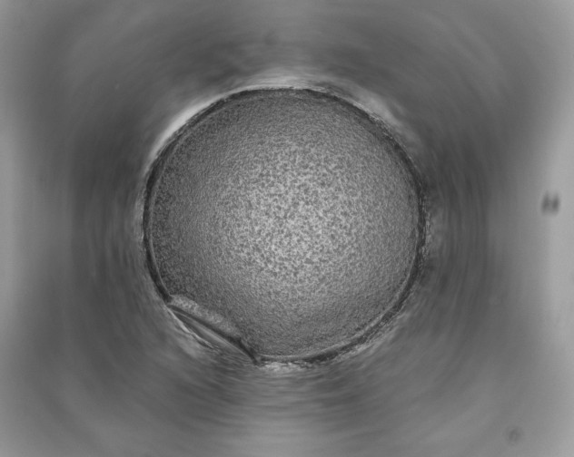 X0000090861216200708101212