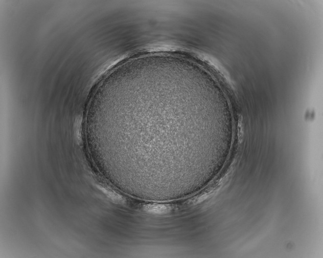 X0000090861217200708101212