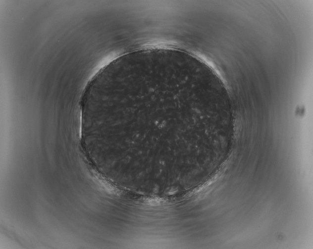 X0000090861219200708101212