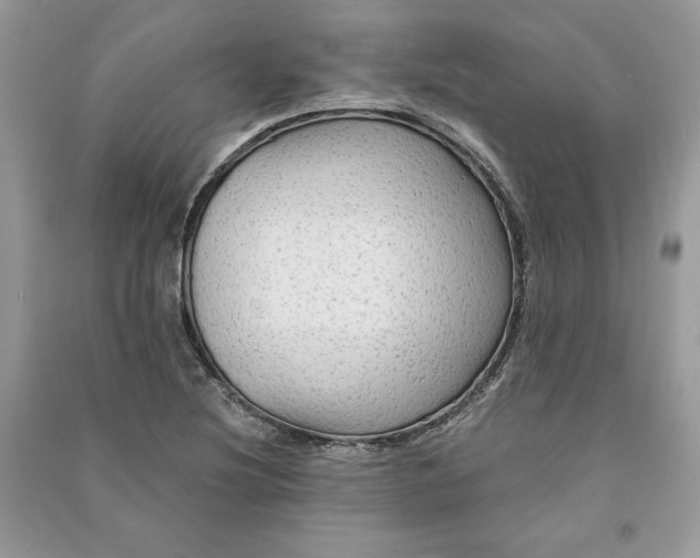 X0000090861220200708101212