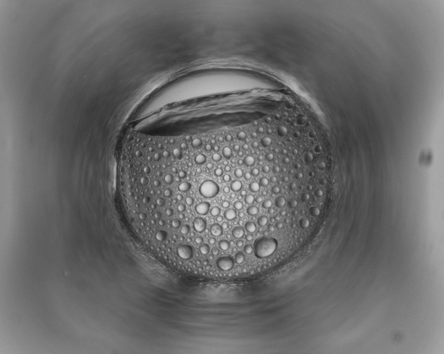 X0000090861221200708101212