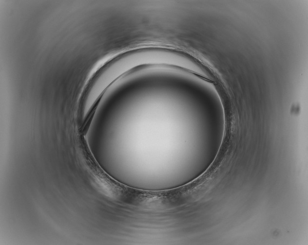 X0000090861222200708101212