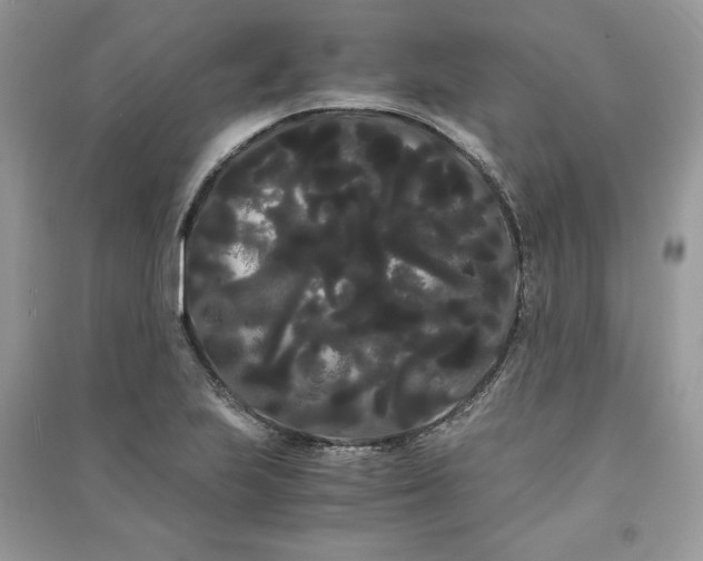 X0000090861223200708101212