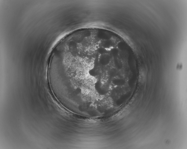 X0000090861224200708101212