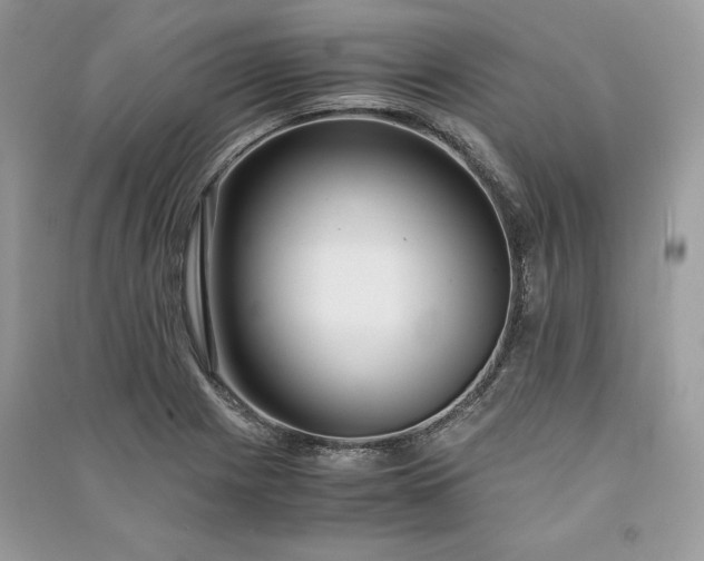 X0000090861225200708101212