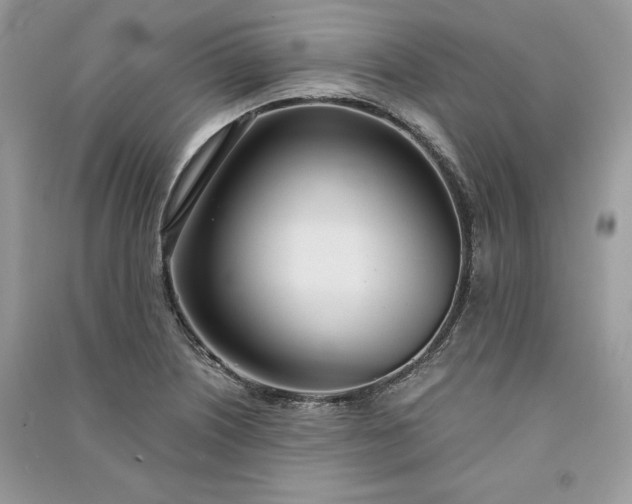 X0000090861226200708101212