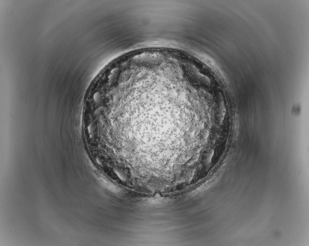 X0000090861228200708101212