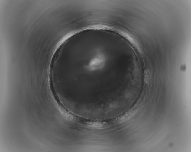 X0000090861229200708101212